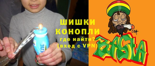 2c-b Бородино