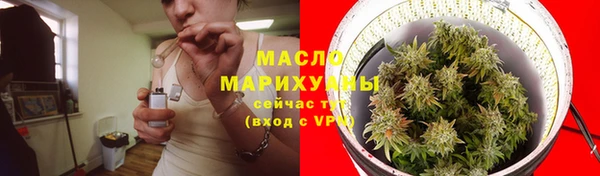 2c-b Бородино
