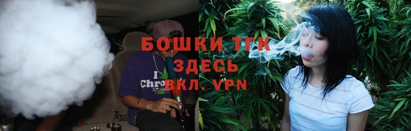 соль ск Горнозаводск