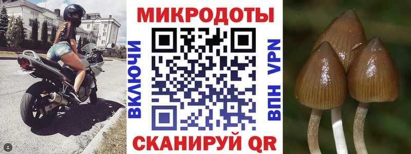 Галлюциногенные грибы GOLDEN TEACHER  Горячий Ключ 