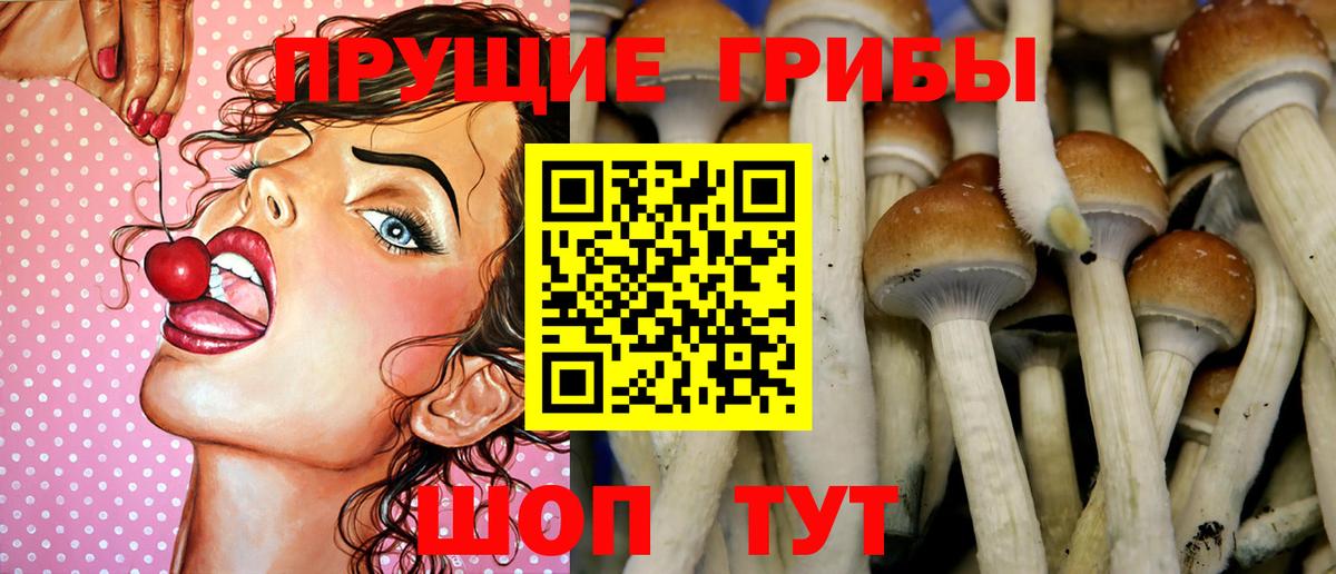 что такое наркотик  Галлюциногенные грибы MAGIC MUSHROOMS  Вход с VPN  Горячий Ключ 