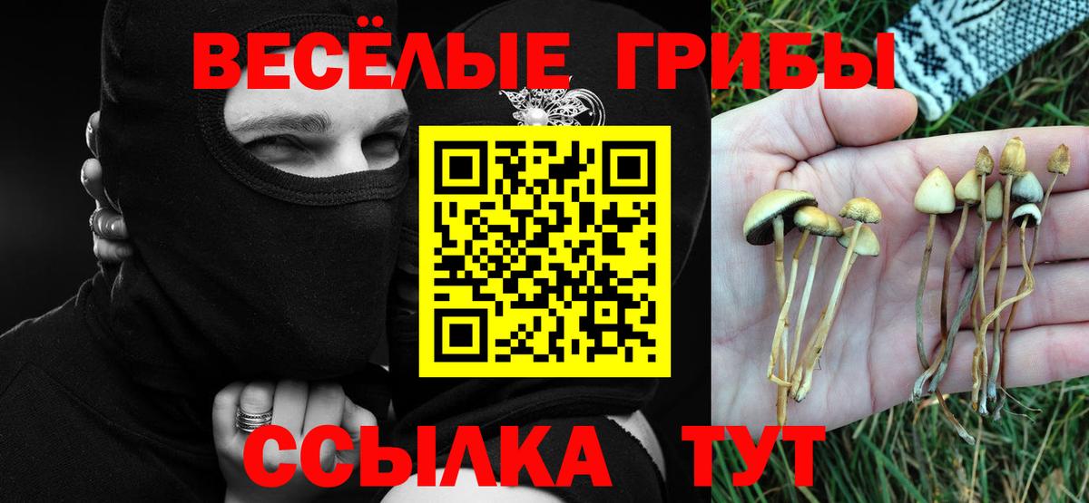 Псилоцибиновые грибы Magic Shrooms Горячий Ключ