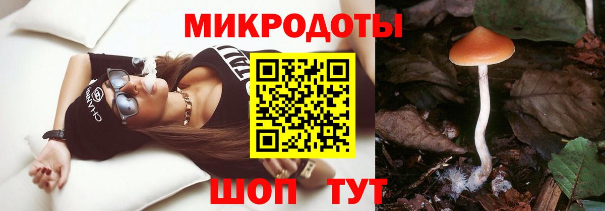 Галлюциногенные грибы Psilocybe Горячий Ключ